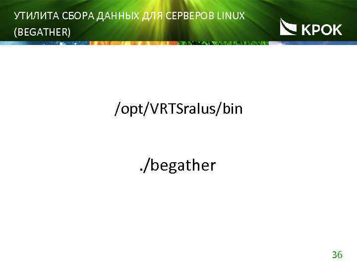 УТИЛИТА СБОРА ДАННЫХ ДЛЯ СЕРВЕРОВ LINUX (BEGATHER) /opt/VRTSralus/bin . /begather 36 
