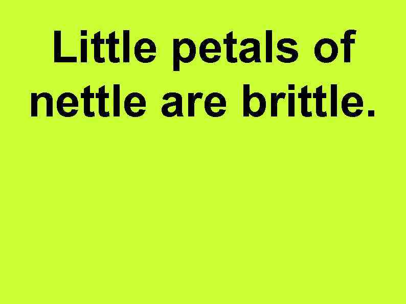 Little petals of nettle are brittle. 