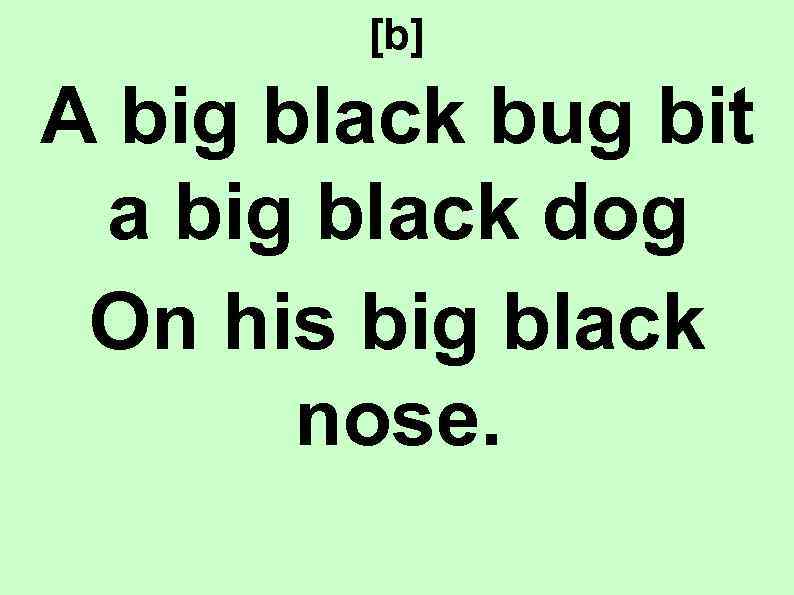 [b] A big black bug bit a big black dog On his big black