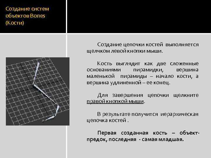 Создание систем объектов Bones (Кости) Создание цепочки костей выполняется щелчком левой кнопки мыши. Кость
