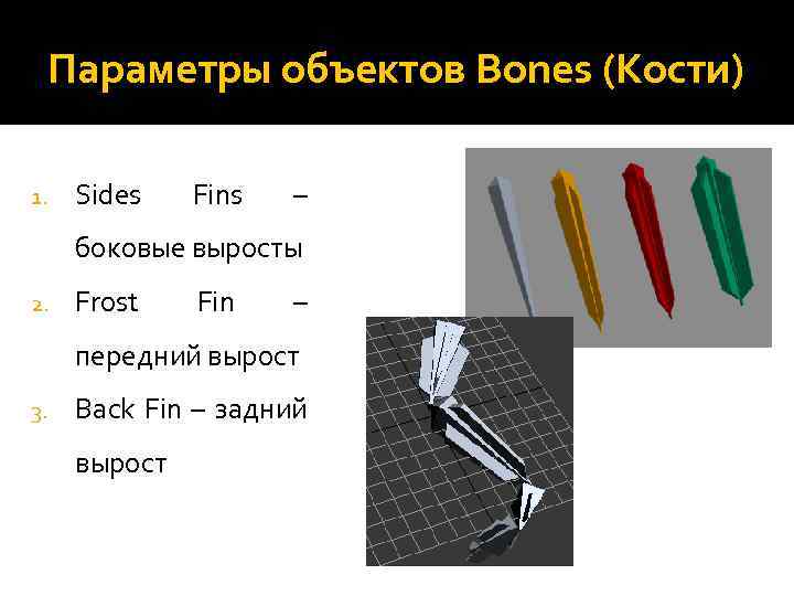 Параметры объектов Bones (Кости) 1. Sides Fins – боковые выросты 2. Frost Fin –