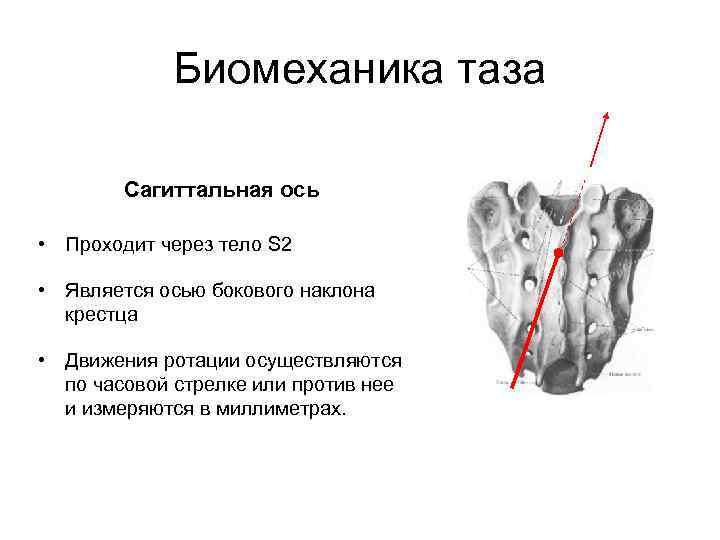 Биомеханика таза Сагиттальная ось • Проходит через тело S 2 • Является осью бокового