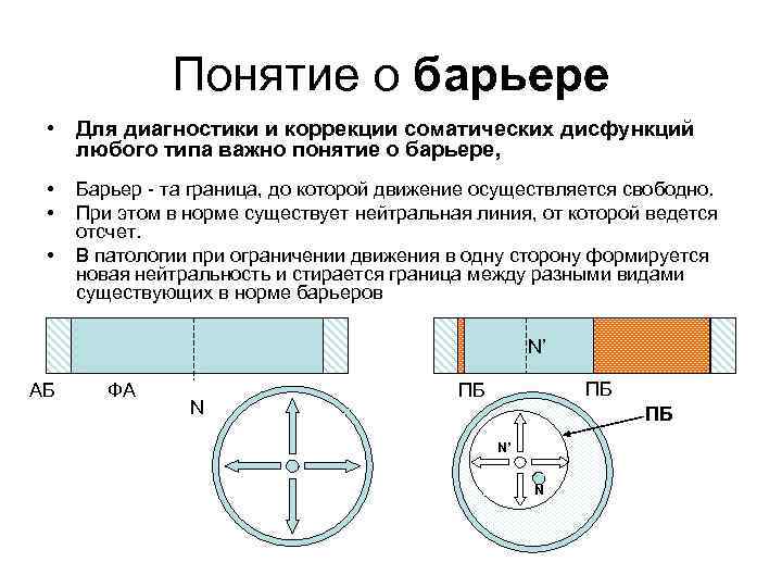 Понятие о барьере • Для диагностики и коррекции соматических дисфункций любого типа важно понятие