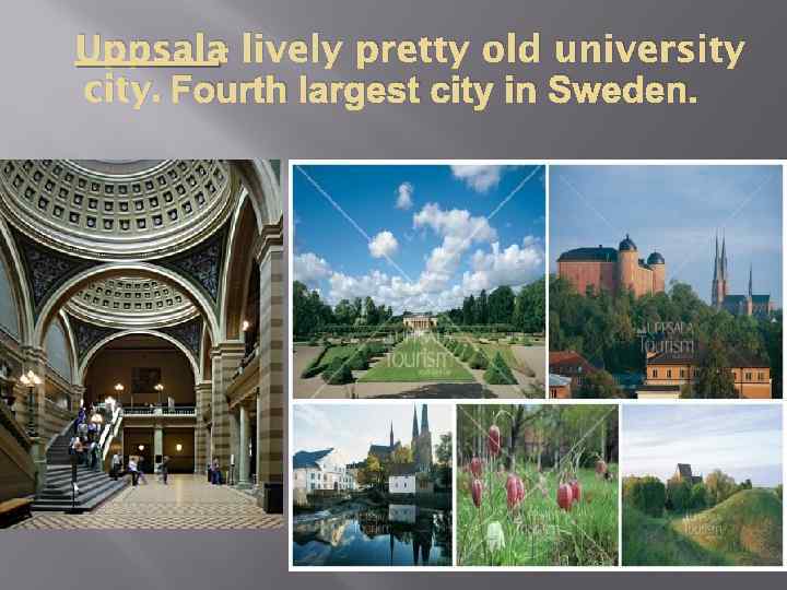 Uppsala lively pretty old university city. Fourth largest city in Sweden. 