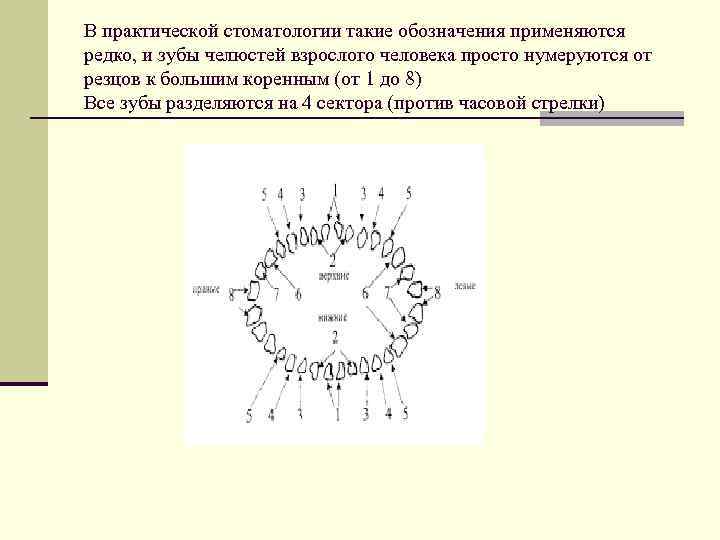 В практической стоматологии такие обозначения применяются редко, и зубы челюстей взрослого человека просто нумеруются