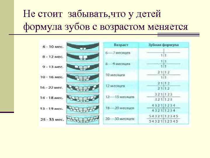 Не стоит забывать, что у детей формула зубов с возрастом меняется 