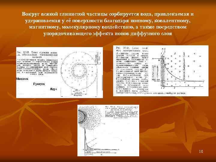 Вокруг всякой глинистой частицы сорбируется вода, привлекаемая и удерживаемая у её поверхности благодаря ионному,