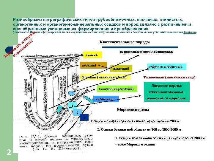 Разнообразие петрографических типов грубообломочных, песчаных, глинистых, органогенных и органогенно-минеральных осадков и пород связано с