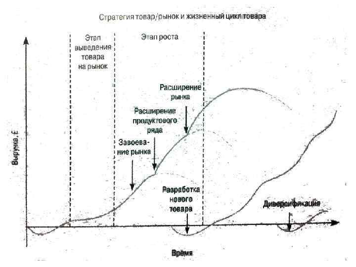 Циклы рынка. Этапы жизненного цикла рынка. Стадии рыночный жизненный цикл. Стадии рыночного цикла. Фазы рыночного цикла.