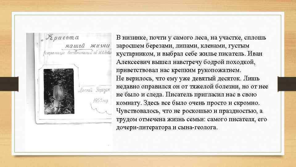 В низинке, почти у самого леса, на участке, сплошь заросшем березами, липами, кленами, густым