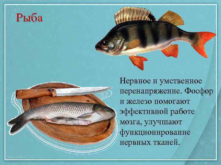 Рыба Нервное и умственное перенапряжение. Фосфор и железо помогают эффективной работе мозга, улучшают функционирование