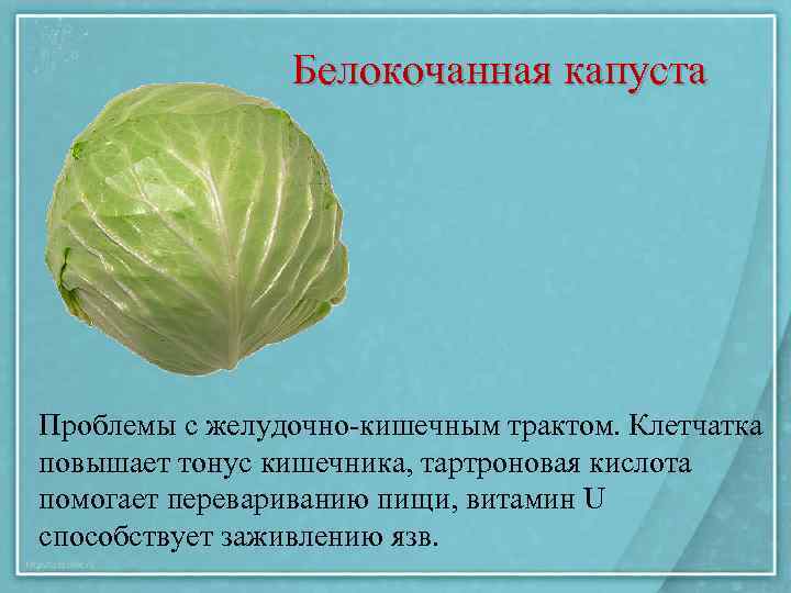 Белокочанная капуста Проблемы с желудочно-кишечным трактом. Клетчатка повышает тонус кишечника, тартроновая кислота помогает перевариванию