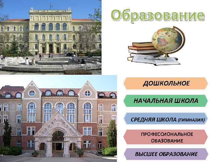 Образование ДОШКОЛЬНОЕ НАЧАЛЬНАЯ ШКОЛА СРЕДНЯЯ ШКОЛА (ГИМНАЗИЯ) ПРОФЕССИОНАЛЬНОЕ ОБАЗОВАНИЕ ВЫСШЕЕ ОБРАЗОВАНИЕ 