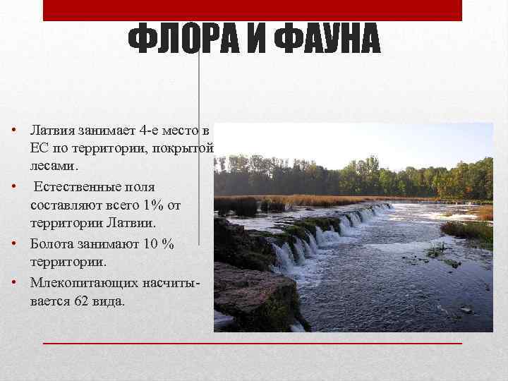 ФЛОРА И ФАУНА • Латвия занимает 4 -е место в ЕС по территории, покрытой