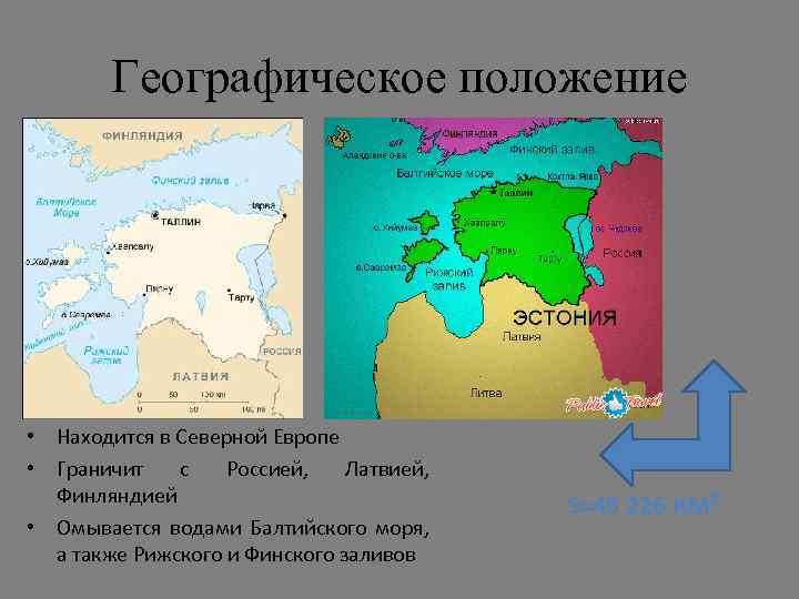 Географическое положение • Находится в Северной Европе • Граничит с Россией, Латвией, Финляндией •