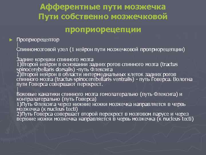 Афферентные пути мозжечка Пути собственно мозжечковой проприорецепции ► Проприорецептор | Спинномозговой узел (1 нейрон
