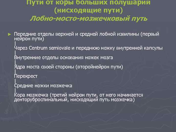 Пути от коры больших полушарий (нисходящие пути) Лобно-мосто-мозжечковый путь ► Передние отделы верхней и