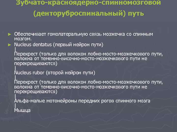 Зубчато-красноядерно-спинномозговой (денторуброспинальный) путь Обеспечивает гомолатеральную связь мозжечка со спинным мозгом. ► Nucleus dentatus (первый