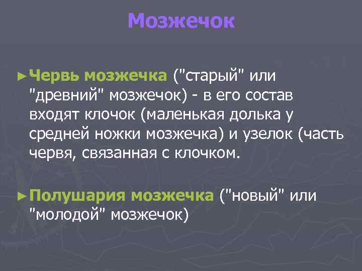Мозжечок ► Червь мозжечка (