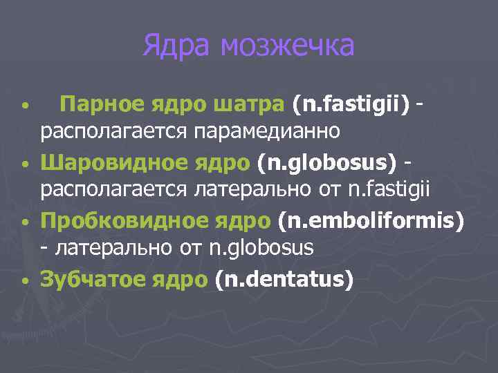 Ядра мозжечка Парное ядро шатра (n. fastigii) - располагается парамедианно • Шаровидное ядро (n.