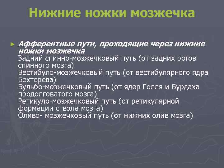 Нижние ножки мозжечка ► Афферентные пути, проходящие через нижние ножки мозжечка Задний спинно-мозжечковый путь