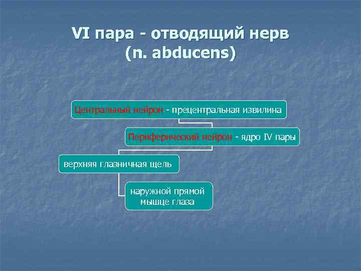 VI пара - отводящий нерв (n. abducens) Центральный нейрон - прецентральная извилина Периферический нейрон