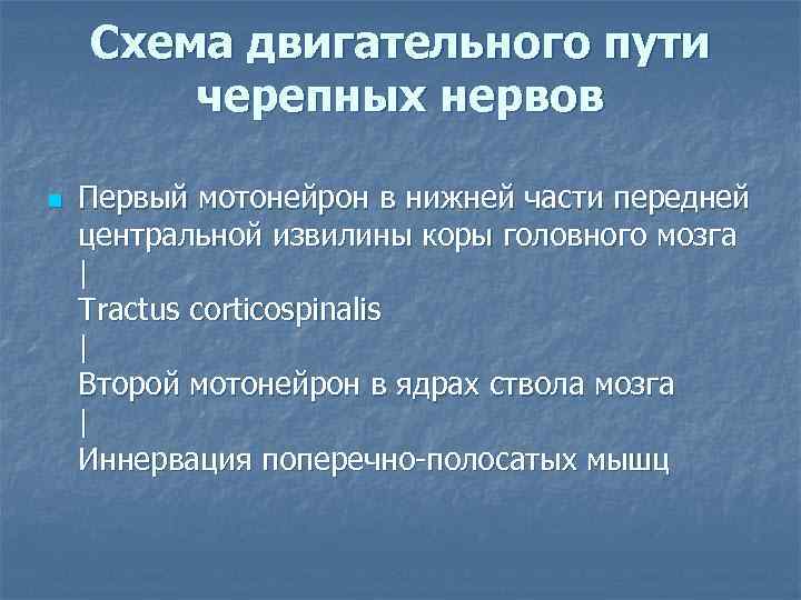 Схема двигательного пути черепных нервов n Первый мотонейрон в нижней части передней центральной извилины