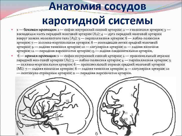 Сегменты внутренней сонной артерии схема мрт