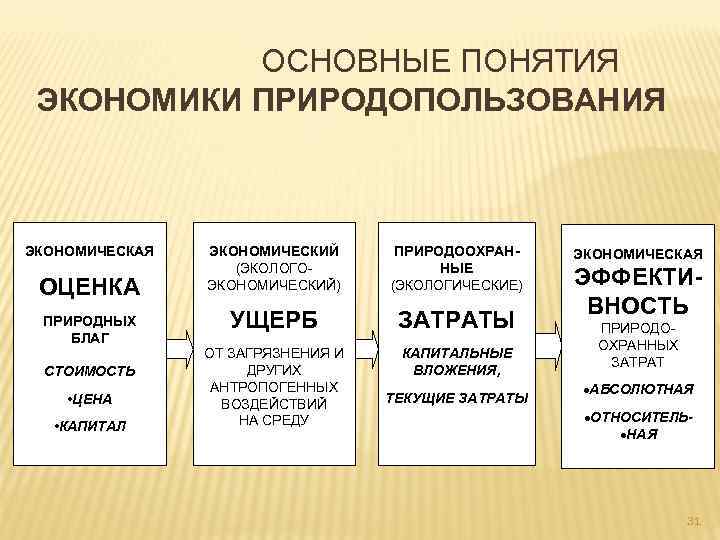 ОСНОВНЫЕ ПОНЯТИЯ ЭКОНОМИКИ ПРИРОДОПОЛЬЗОВАНИЯ ЭКОНОМИЧЕСКАЯ ОЦЕНКА ПРИРОДНЫХ БЛАГ СТОИМОСТЬ • ЦЕНА • КАПИТАЛ ЭКОНОМИЧЕСКИЙ
