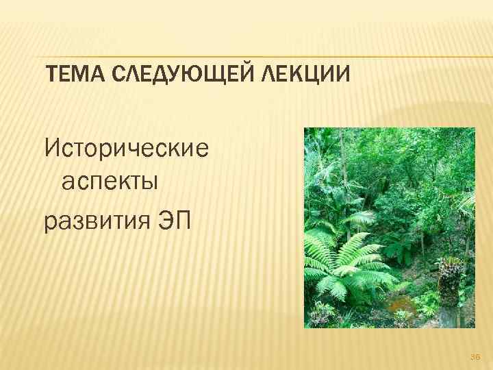 ТЕМА СЛЕДУЮЩЕЙ ЛЕКЦИИ Исторические аспекты развития ЭП 36 
