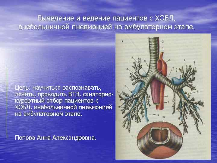 Выявление и ведение пациентов с ХОБЛ, внебольничной пневмонией на амбулаторном этапе. Цель: научиться распознавать,