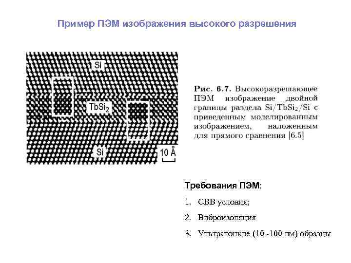 Пэм светлопольное изображение