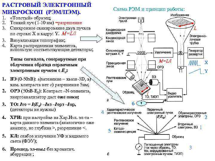 Просвечивающий электронный микроскоп схема