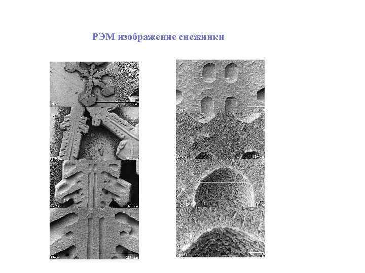 РЭМ изображение снежинки 