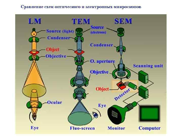 Просвечивающий электронный микроскоп схема