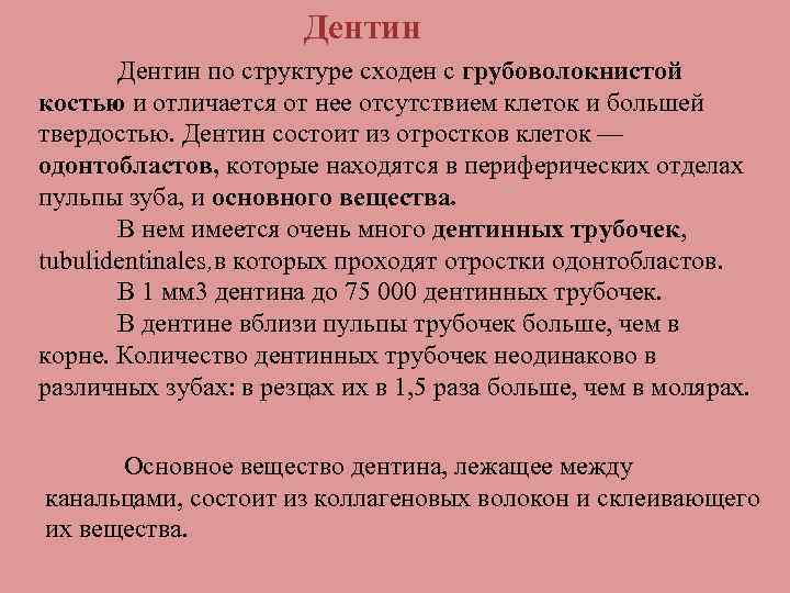 Дентин по структуре сходен с грубоволокнистой костью и отличается от нее отсутствием клеток и