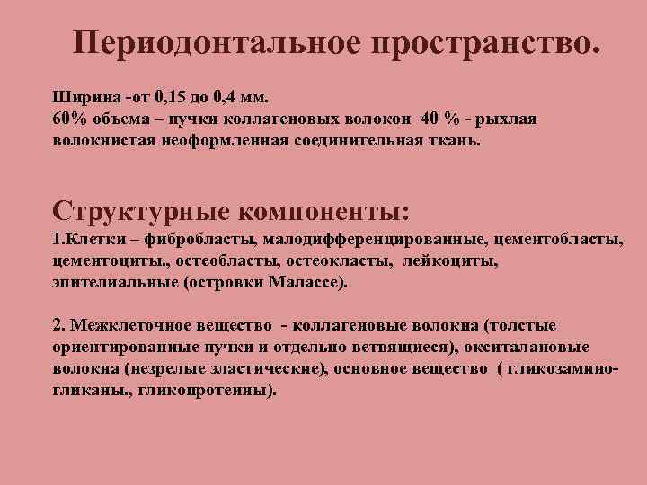 Периодонтальное пространство. Ширина от 0, 15 до 0, 4 мм. 60% объема – пучки