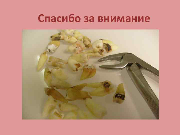 Спасибо за внимание 