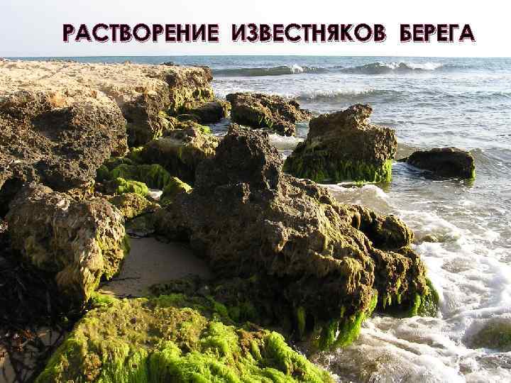 РАСТВОРЕНИЕ ИЗВЕСТНЯКОВ БЕРЕГА 