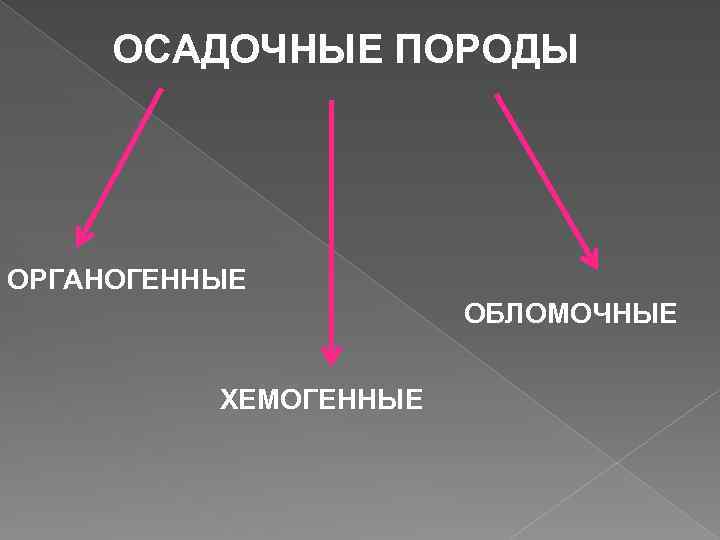 ОСАДОЧНЫЕ ПОРОДЫ ОРГАНОГЕННЫЕ ОБЛОМОЧНЫЕ ХЕМОГЕННЫЕ 