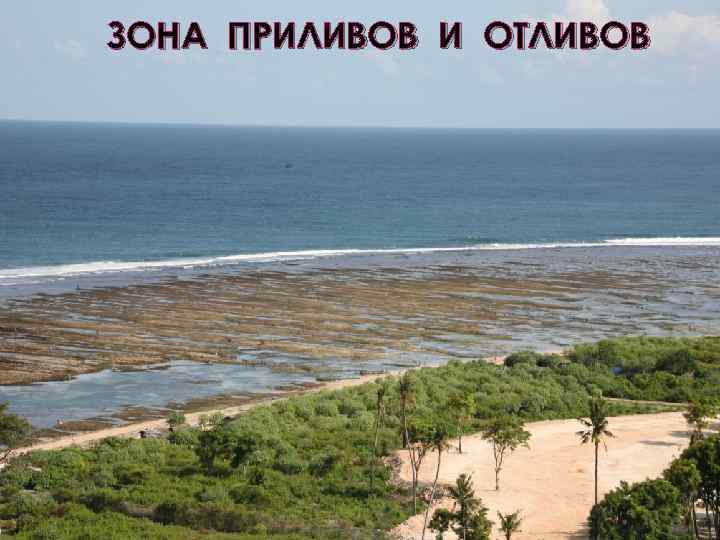 ЗОНА ПРИЛИВОВ И ОТЛИВОВ 
