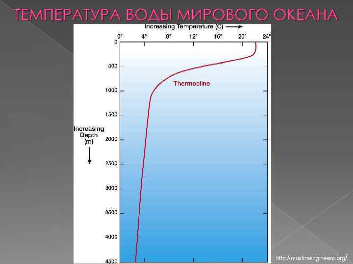 ТЕМПЕРАТУРА ВОДЫ МИРОВОГО ОКЕАНА http: //muslimengineers. org/ 