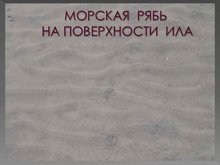 МОРСКАЯ РЯБЬ НА ПОВЕРХНОСТИ ИЛА 