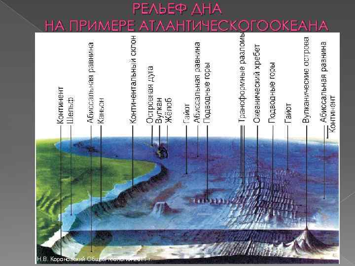 Рельеф дна океана конспект