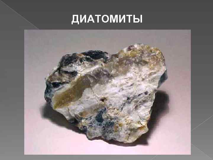 ДИАТОМИТЫ 