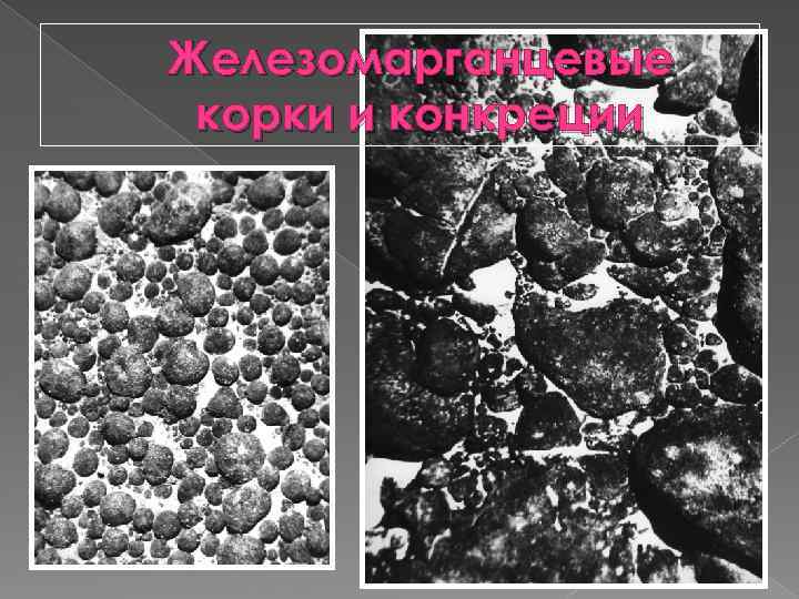 Железомарганцевые корки и конкреции 