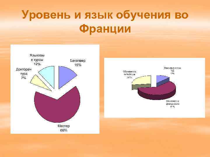 Уровень и язык обучения во Франции 