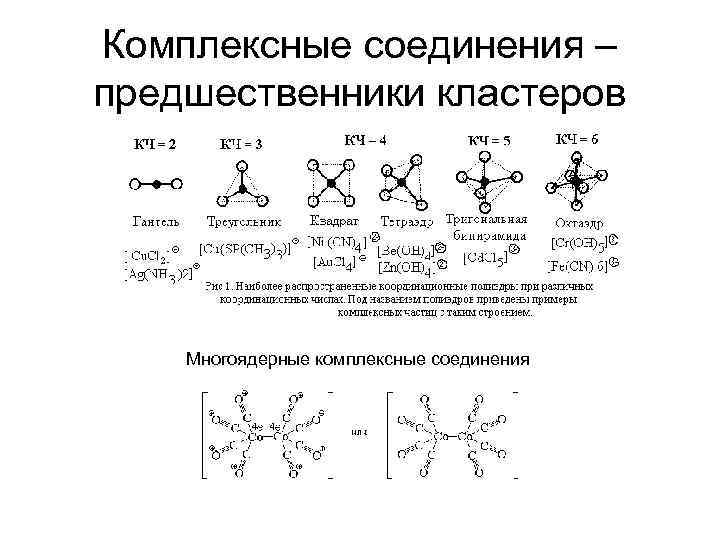 Комплексные соединения – предшественники кластеров Многоядерные комплексные соединения 