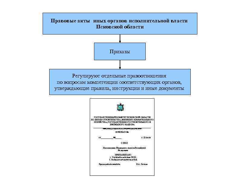 Положение о правовых актах органов власти