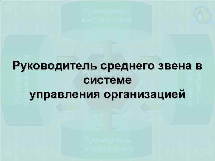 Руководитель высшего звена Руководитель среднего звена в Руководитель среднего системе звена управления организацией Руководитель